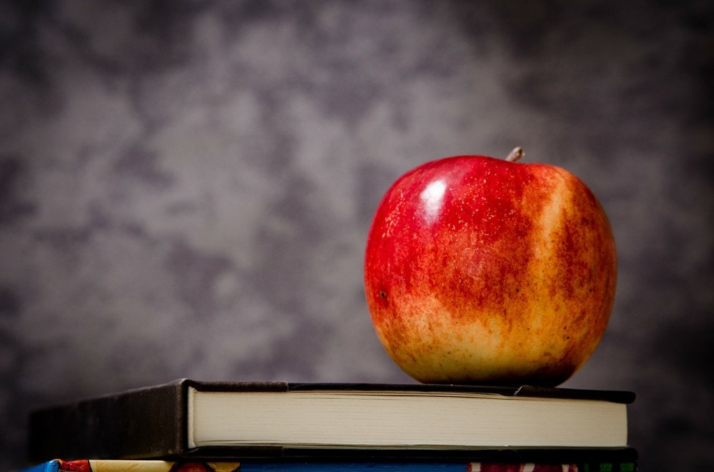 academic writing guidelines